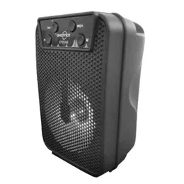 Bluetooth Rechargeable Speaker with FM Radio, AUX, TF Memory Card Reader and USB Pen Drive.