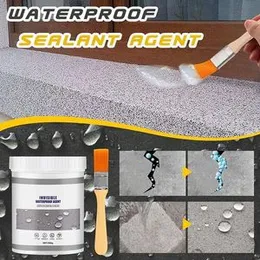 Waterproof Sealant Agent Glue with Brush - 100g (P05673)
