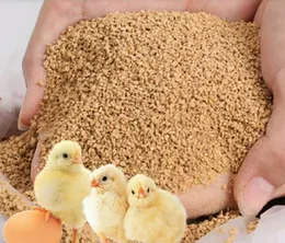 Chick starter chick feed ( 1kg )