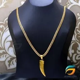 Gold Plated Albert Chain & Lion Teeth Pendant Guaranteed 20 inch for Men.