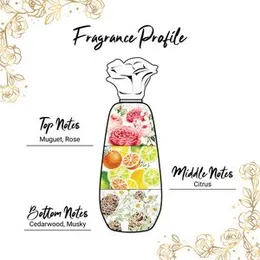 Enchanteur Eau De Toilette 50ml