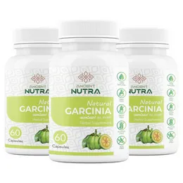 3 Month Plan - Bye-bye Belly Fat Pack