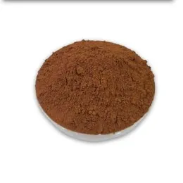 Cocoa Powder – 100g Pack | Rich Flavor | Ideal for Cakes, Brownies & Desserts
