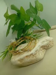 Hight Quality Fashion Gold Plated bangal ESH Lover waves shape bangel Stylish Bangle With Stone For Women