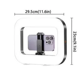 Rechargeable Handheld Video Fill Light YM200