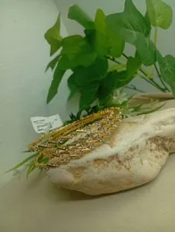 Elegant Gold-Plated Stone Bangles for Women