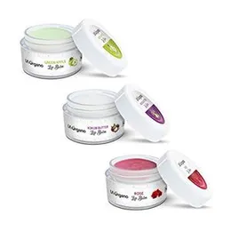 LA Organo Rose, Green Apple & Kokum Butter Lip Balm For Dry, Chapped Lips With Intense Moisturizing (10 g, Pack of 3) (FROM INDIA)SAB