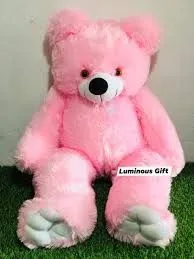 Pink, plush Teddy Bear.