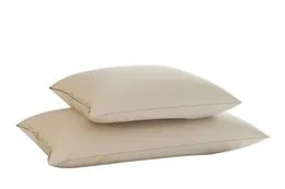 Organic Latex Pillow