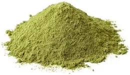 Neotea Neermulli | Ygrophila Auriculata Seed Powder | 300 GM Pack of 1