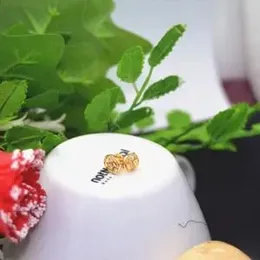 Gold Plated Stud Circle Earring For Women.