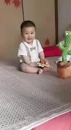 Dancing Cactus Toy with Hat - Singing, Talking, Record & Repeats What You say, Funny Electric Cactus Toy for Kids