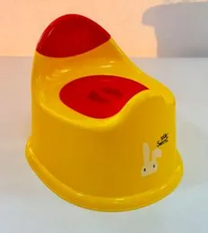 Potty Trainer with Detachable Potty Bowl