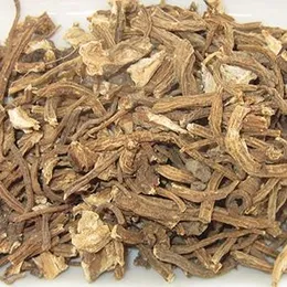 VedoMax Angelica Root 100% Pure & Natural - 50 gm