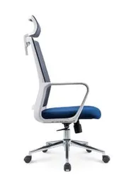 Ergonomic Office Chair Mesh Chrome Back