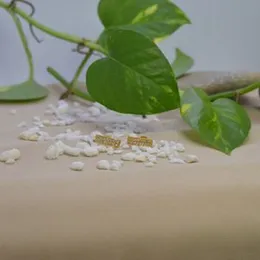 Golden Brass rectangle white stone stud earing.