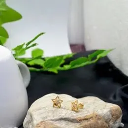 Gold Plated  Star Earring For Women.