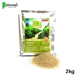 Planatopia Maya Power Sand 2Kg Special Power Sand Aqurium Fish Tank Planted Tank Planting Sand