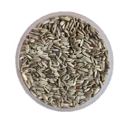Black Sunflower Seeds – Premium Bird Feed Natural Bird Food for Parrots, Finches, Budgies & Other Birds