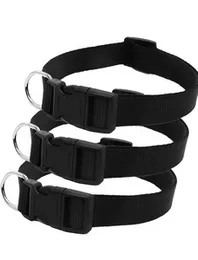 Dog belt heavy duty product dog neck belt safety plastic lock