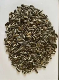 Sun Flower Seeds For Birds 1kg