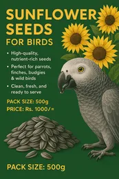 Sunflower Seeds, Parrot Sunflower Seeds Feed ,Sunflower Seed Meal for Birds