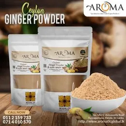 Ginger Powder - 25g