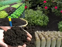 Compost Fertilizer Agriculture Home Gardening Organic