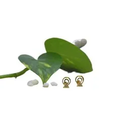 Gold Plated Stylish Round Triangle Stone  Stud Earrings For Women.