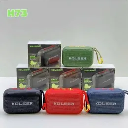 Koleer Portable Bass Speaker