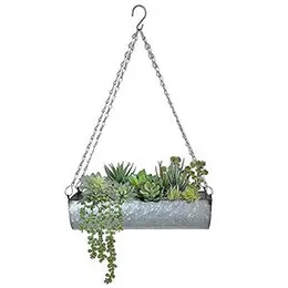 TrustBasket Ivy Single Level Hanging Planter (FROM INDIA)NUZ