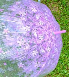 Photo Shoot Umbrella Transparent Design Fashionable Umbrella