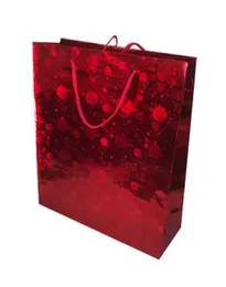 38cm x 29cm x 4cm Craft Shine Gift Bag Large Multi Colour Birthday Anniversary Party