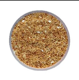 Bajiri Special Mix – Complete Natural Bird Feed Premium Seed Blend for Budgies, Love Birds, Cockatiels & Small Parrots