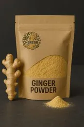 Ginger Powder 100g