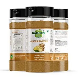 NATURE'S Precious Gift Ginger Powder - 100g / 3.5 Oz Spice Jar