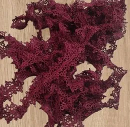 Maroon Colour Medium Lace 1 Inch, Fancy Lace, Laces for clothes and Dupta ,Baby Dresses and Frocks