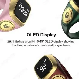 OLED Display Digital Counter