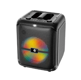 Brodu BTS-1740 Bluetooth Karaoke Speaker with 8-Inch 30W Speaker, Dual Wired & Wireless Mics, LED Lights & Multiple Inputs