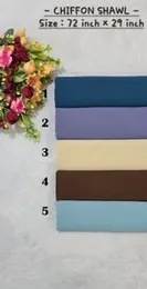 BARBIE DOLL CRUSH CHIFFON SHAWL SET 7