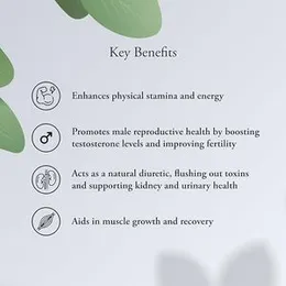 Sitaram Ayurveda Gokshura Capsules 60 Nos | More Potent 600 MG Extract (other brands - 250 MG) | Ayurvedic Gokshura Capsules | Men's wellness | Improv