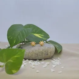 Gold Plated Stylish Star Theme Small Stud Earrings For Women.