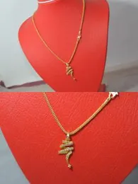 Gold Plated Brooch Pendant with chain