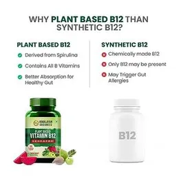 Himalayan Organics Plant Based Vitamin B12 Supplement | B1,B2,B3,B5,B6,B7,B9,Moringa| Boost Energy Level | Good For Digestion And Nerve Health | Glowi