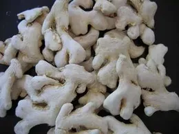 DRY GINGER [WER KOMBU] 100G