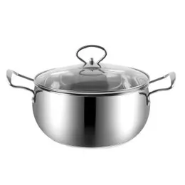 Premium Stainless Steel Casserole with Glass Lid (20cm & 24cm) 100% Food Safe