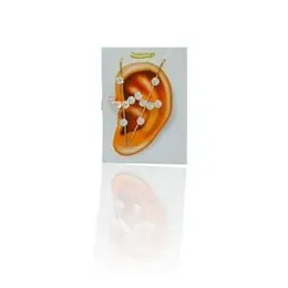 Traditional Goddess Aesteri Ear Wrap Earrings For Women.