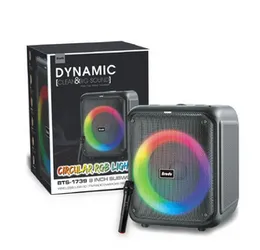 Brodu BTS-1739 Bluetooth Karaoke Speaker with 8-Inch Subwoofer, Wireless Microphone, RGB Party Lights & Multiple Inputs