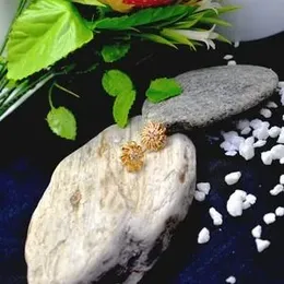 Gold Plated  Sun Flower design Earring For Women.