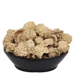 YUVIKA Sakar Tigar - Sakar Tigaar (50 Grams)